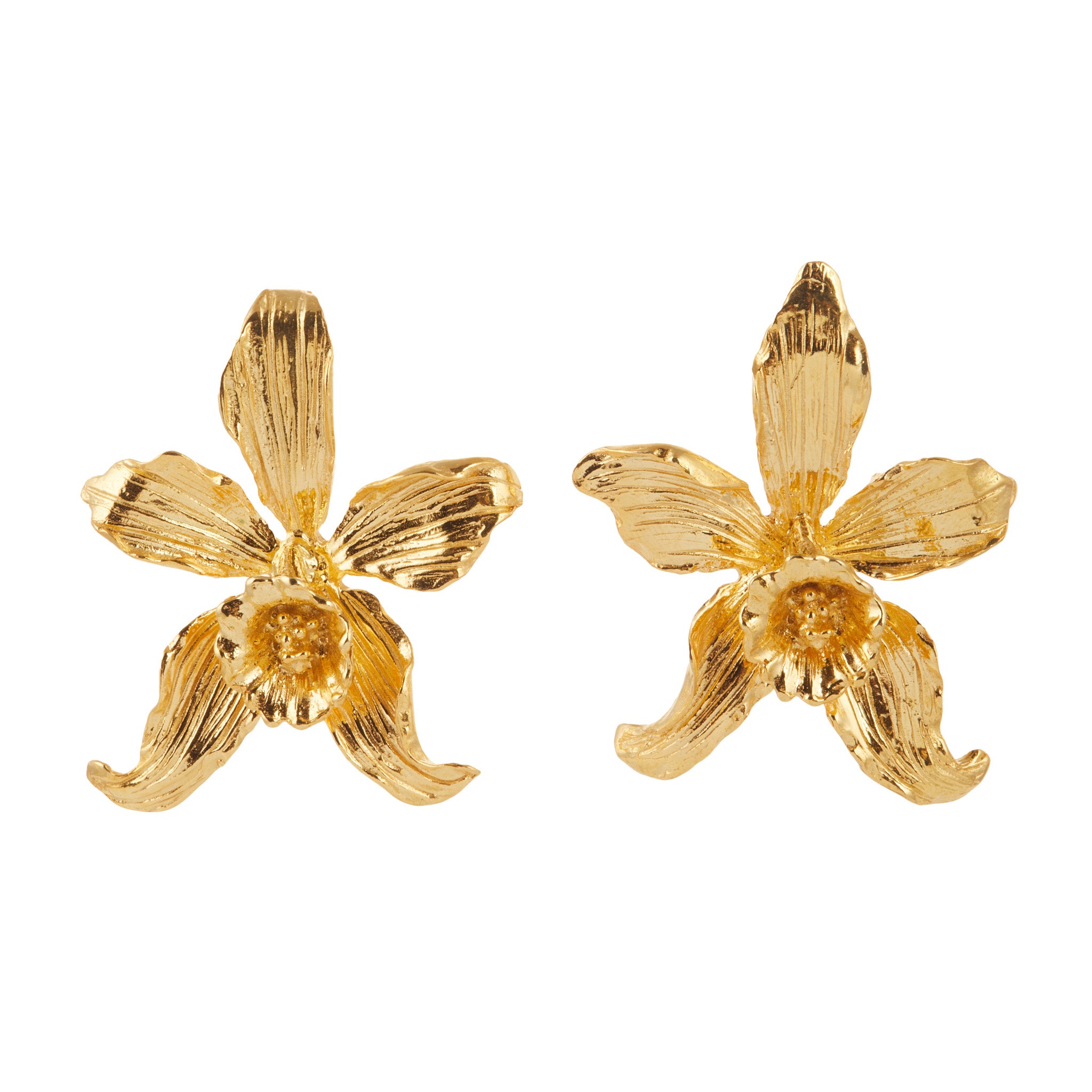 Anthia Earrings Gold
