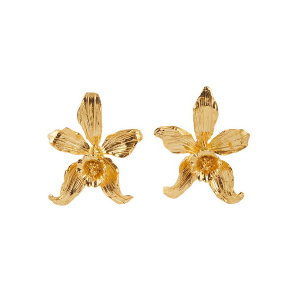 Anthia Gold Flower Earrings by Christie Nicolaides