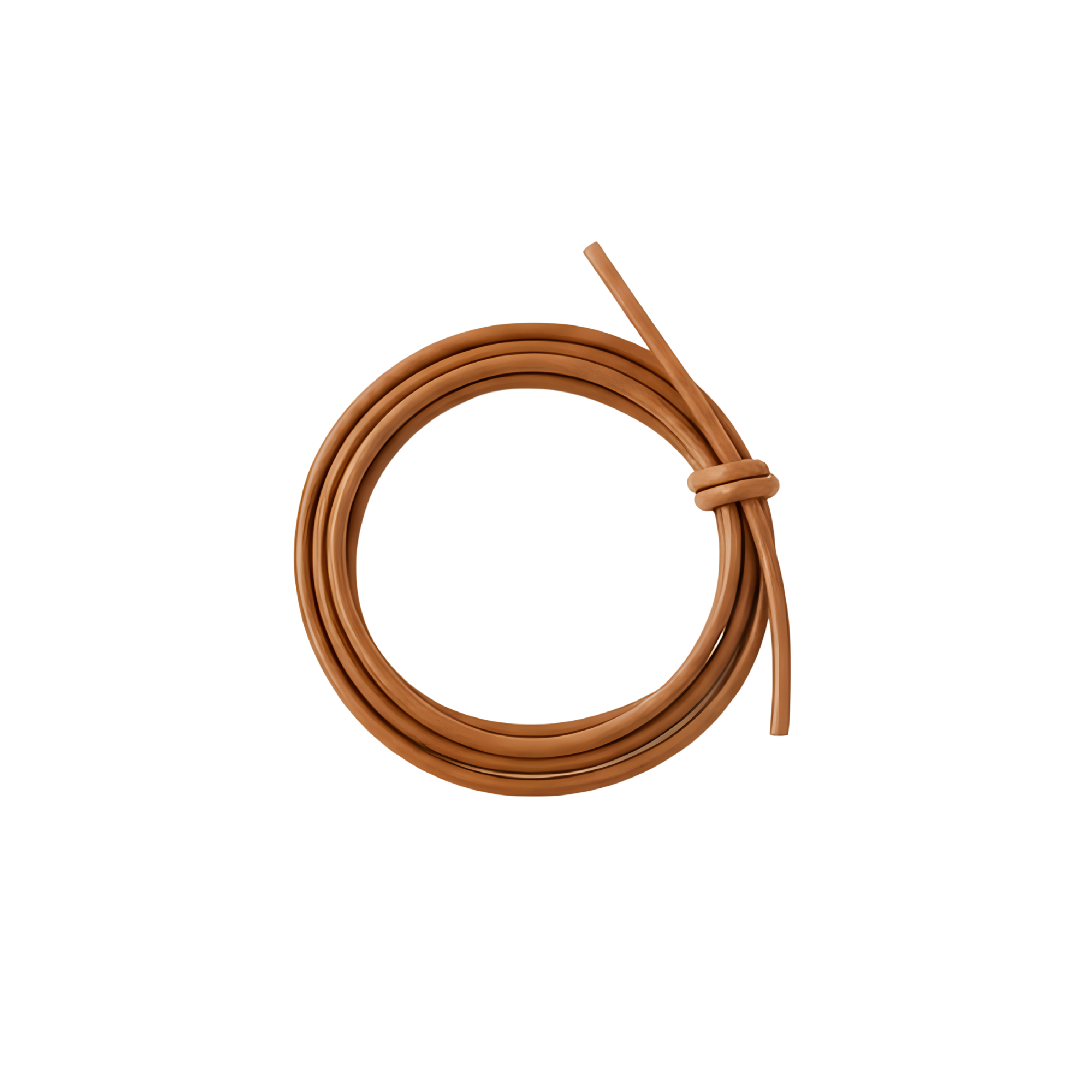 Desmos Leather Cord