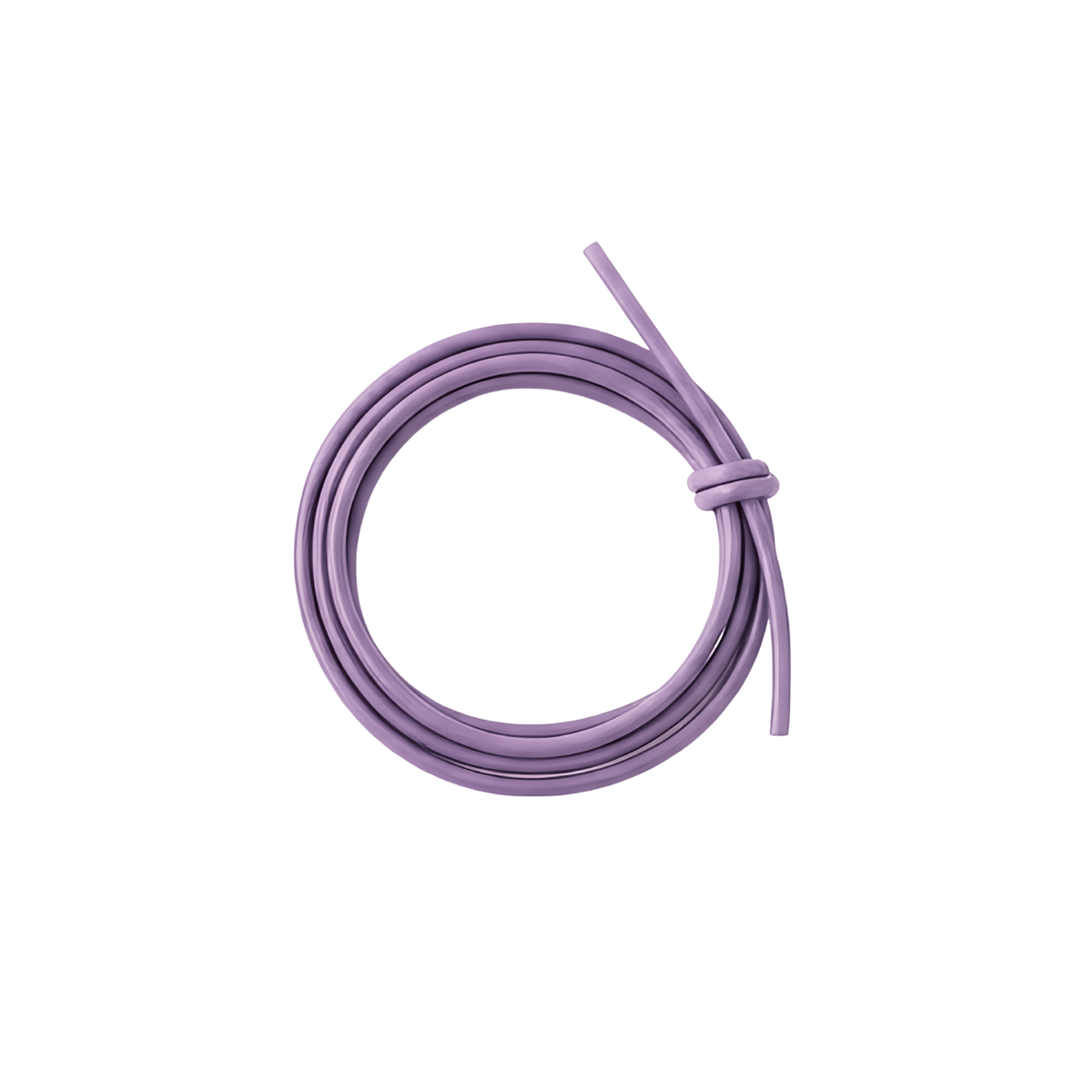Desmos Leather Cord